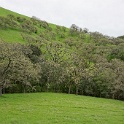 DSC07587