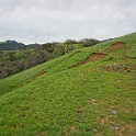 DSC07591