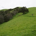 DSC07601