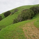 DSC07603