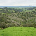 DSC07605
