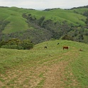 DSC07626