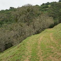 DSC07632