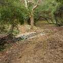 DSC07638