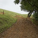 DSC07646