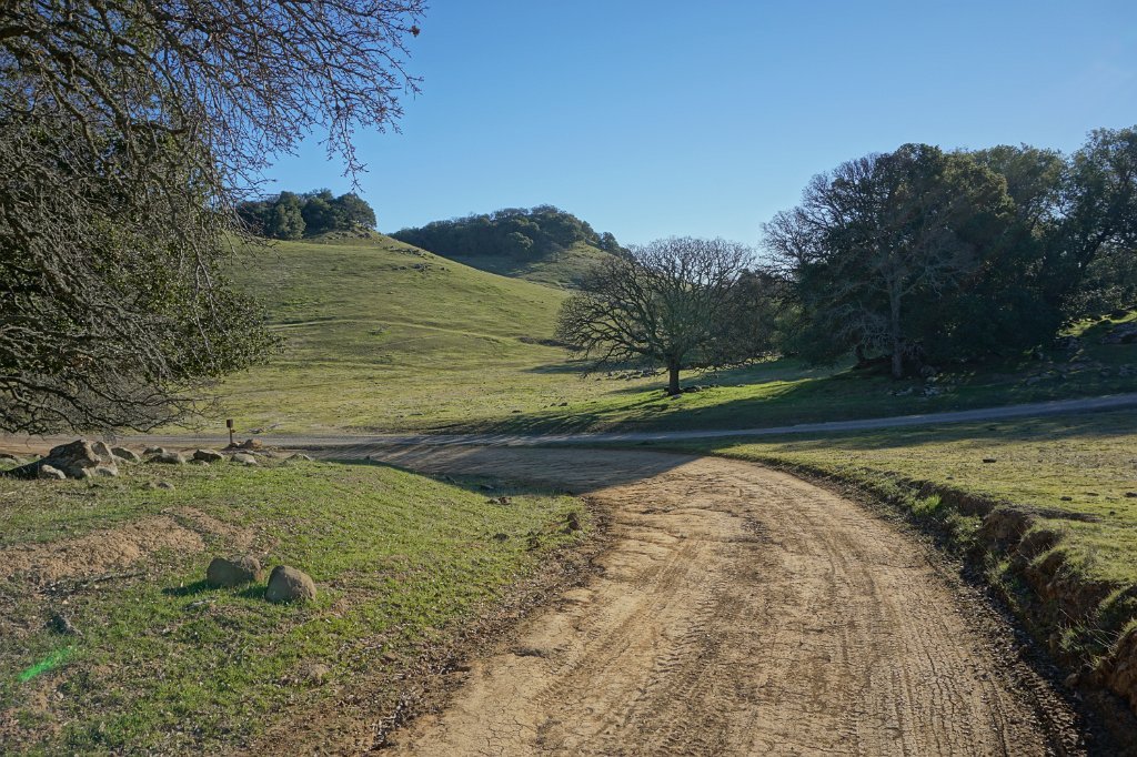 DSC01354