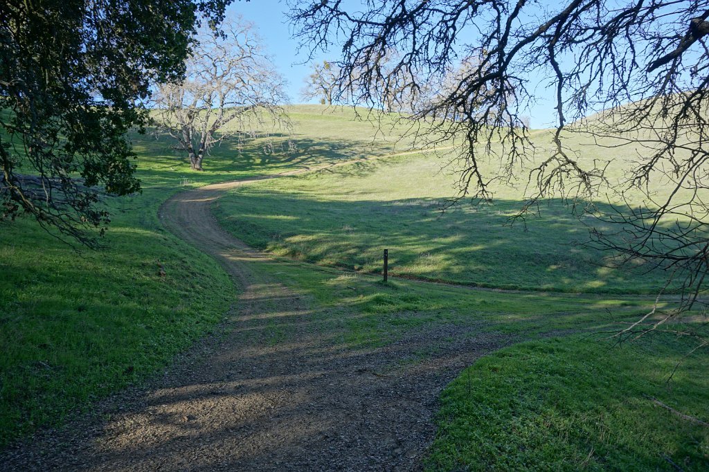 DSC01400