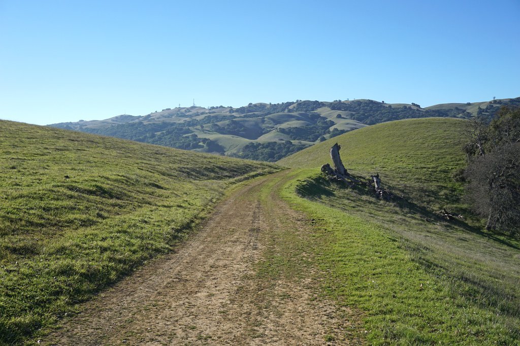 DSC01404