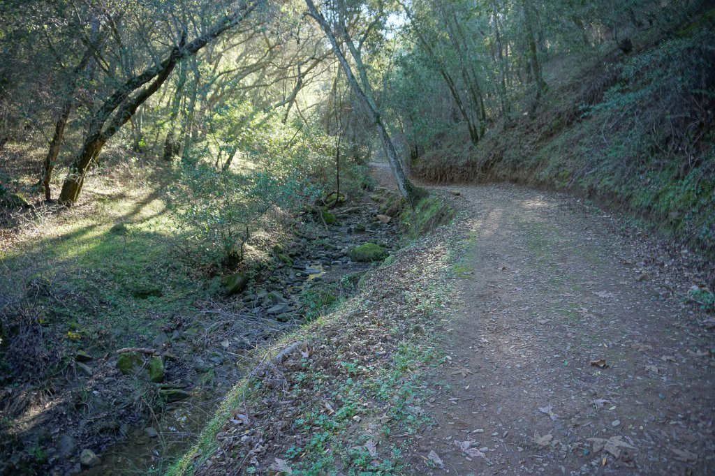 DSC01437