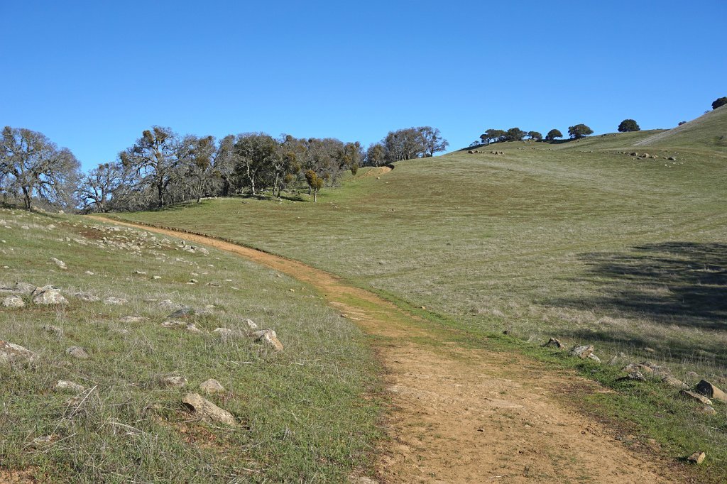 DSC01442