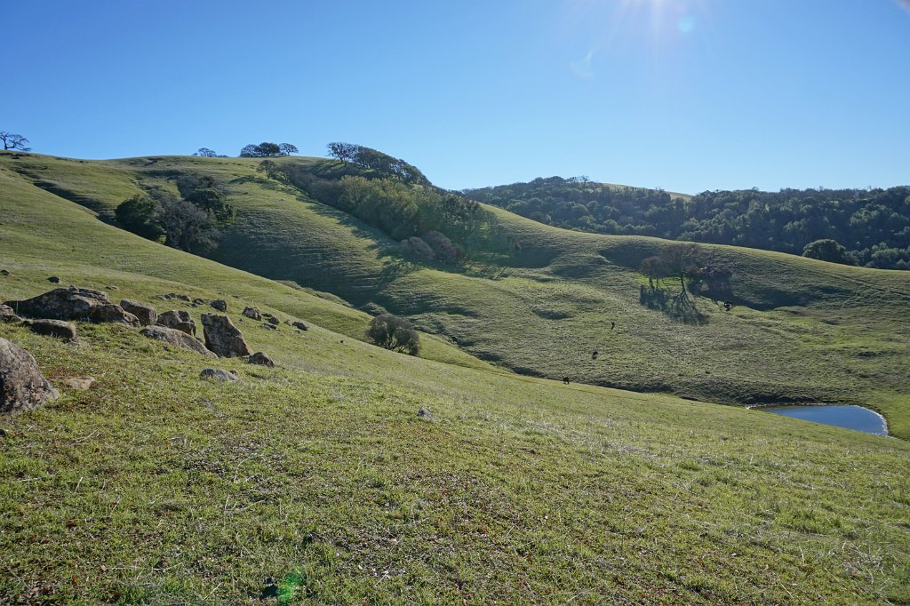 DSC01445