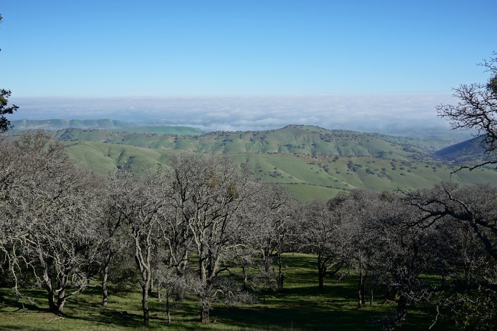 DSC01453