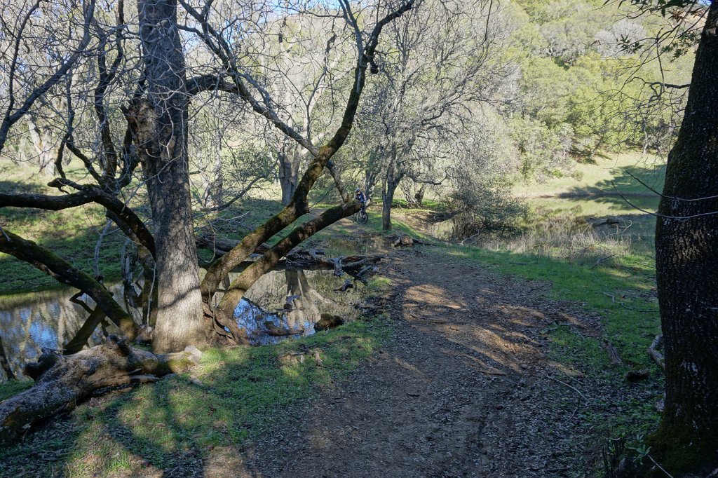 DSC01500