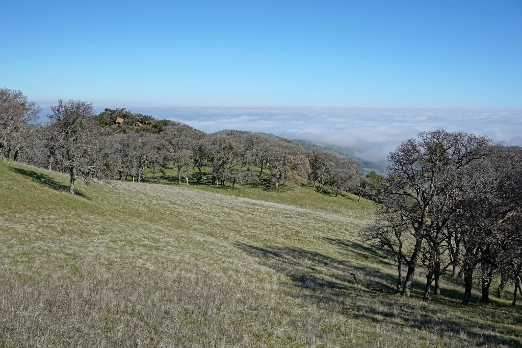 DSC01503