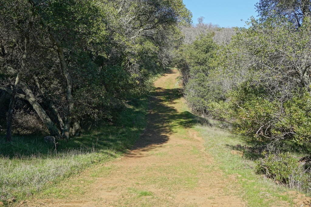 DSC01505