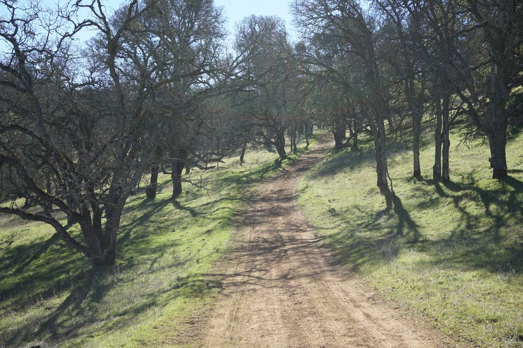 DSC01530