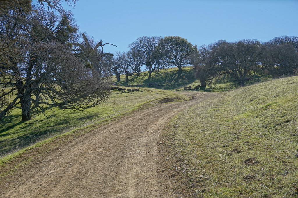DSC01535