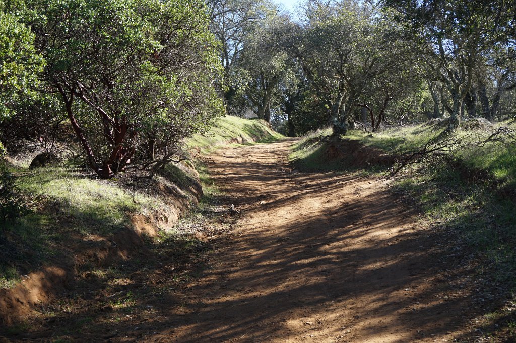 DSC01540