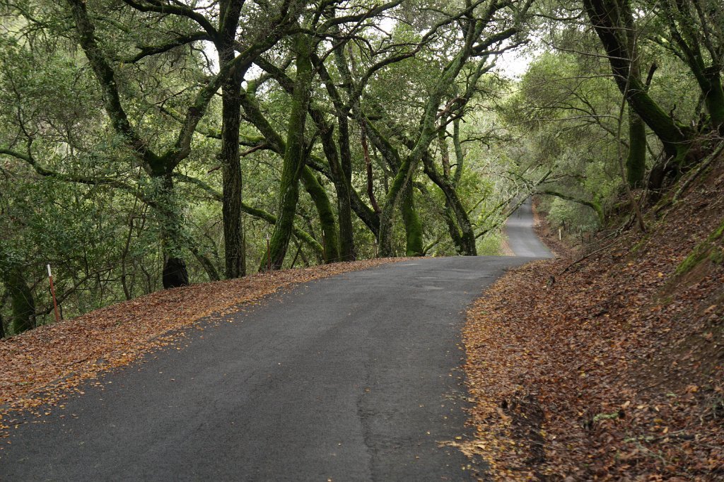 DSC00114
