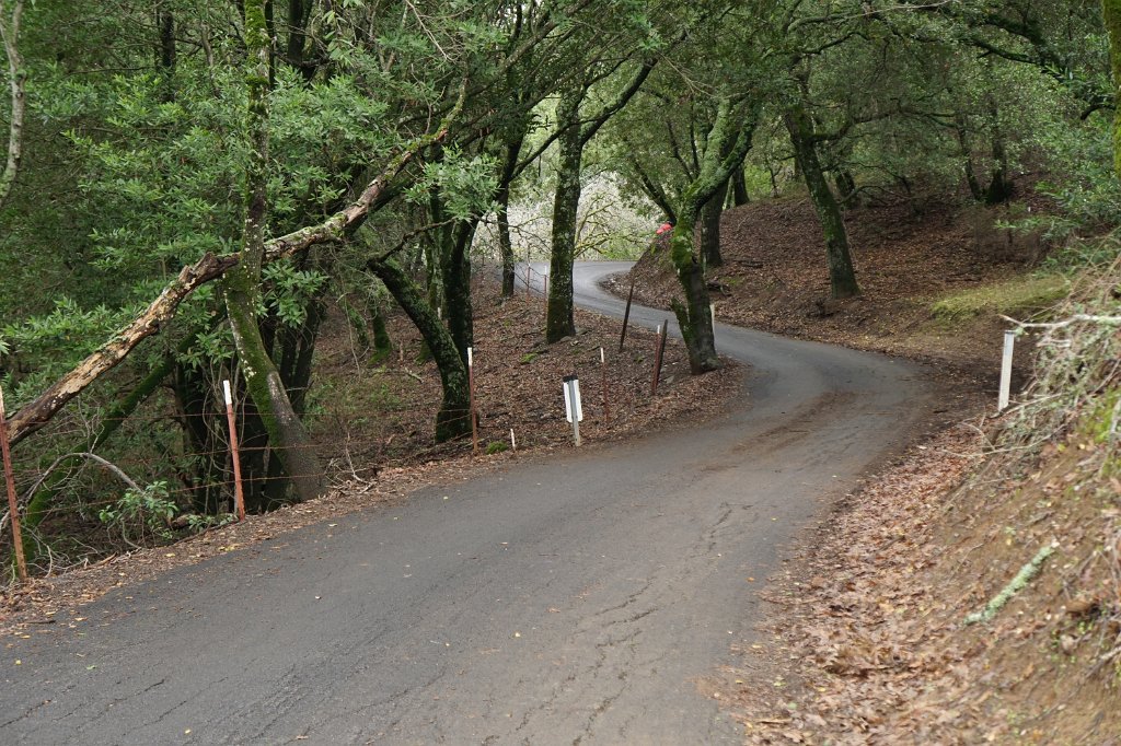 DSC00118