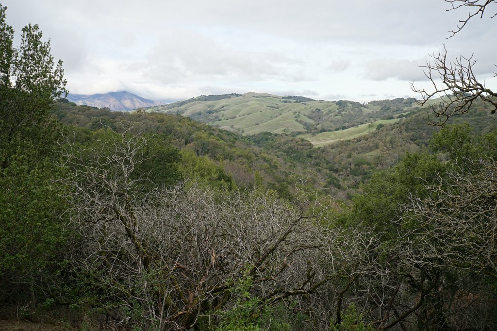 DSC00120