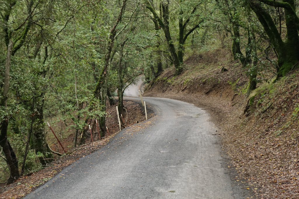 DSC00123