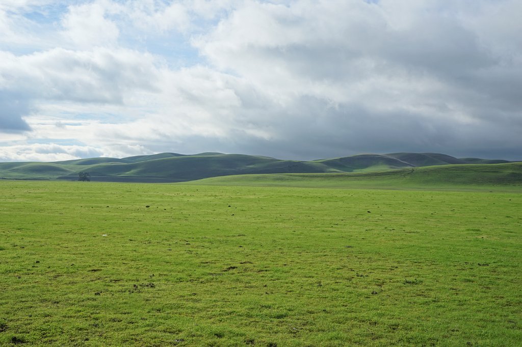 DSC00159