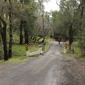 DSC00106