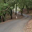 DSC00118