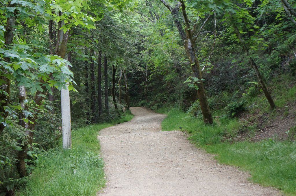 DSC08614
