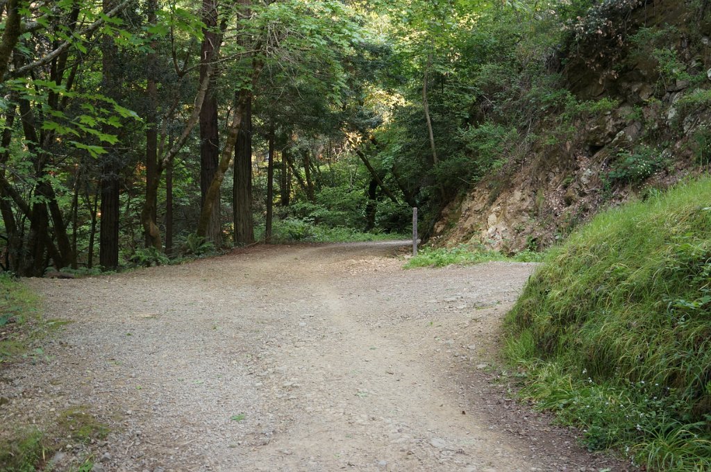 DSC08615
