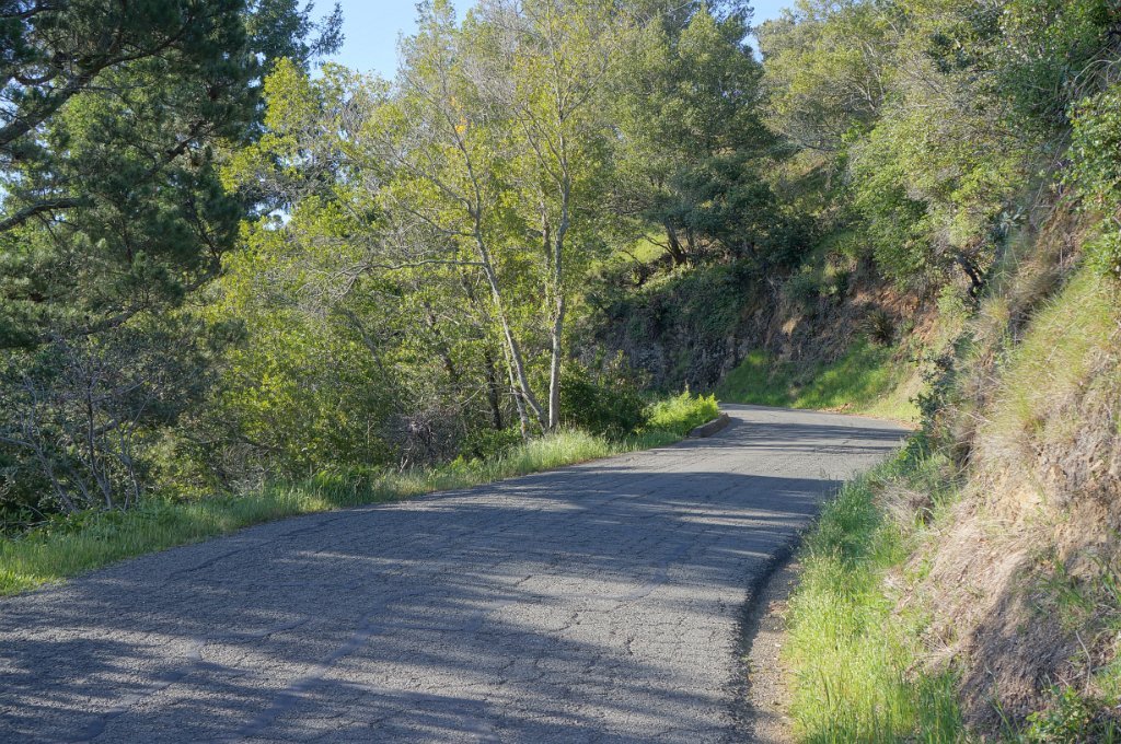 DSC08640