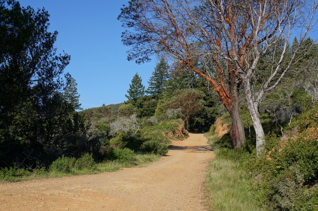 DSC08646