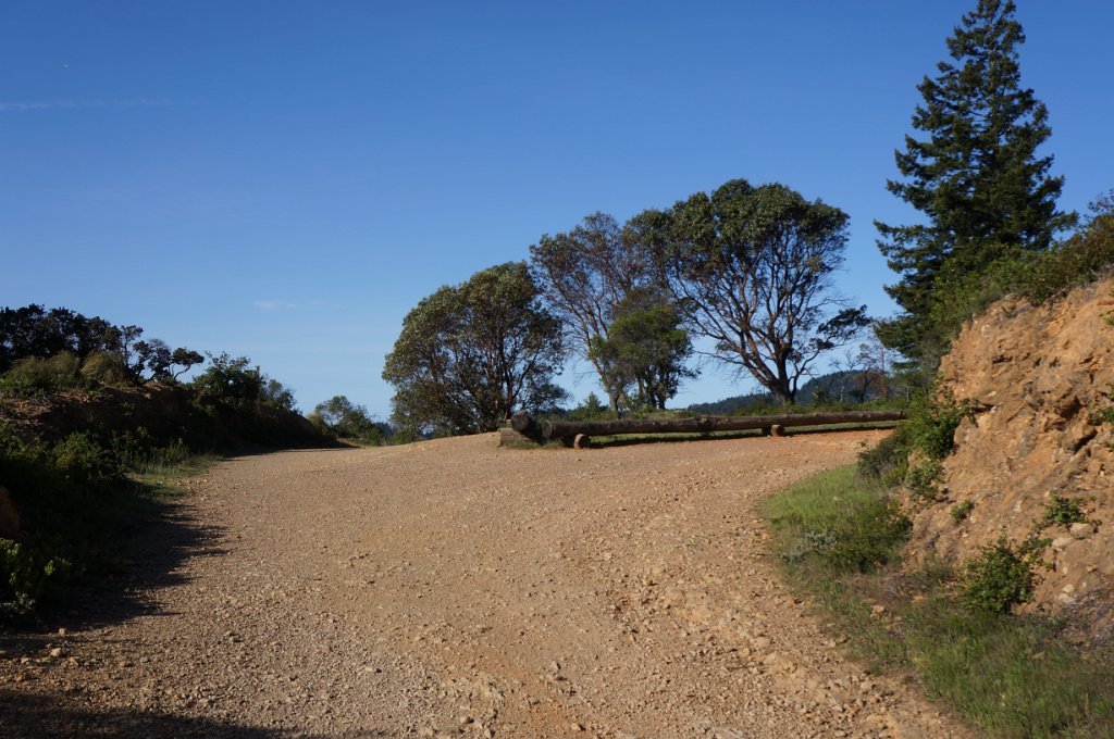 DSC08647