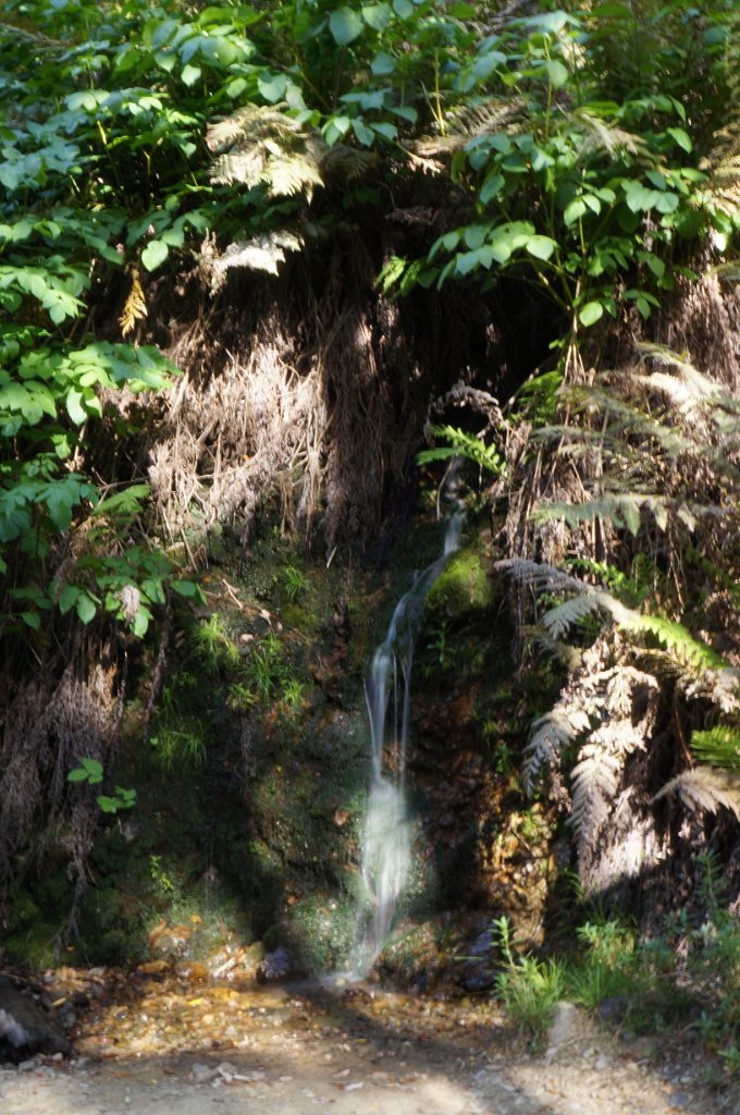 DSC08677