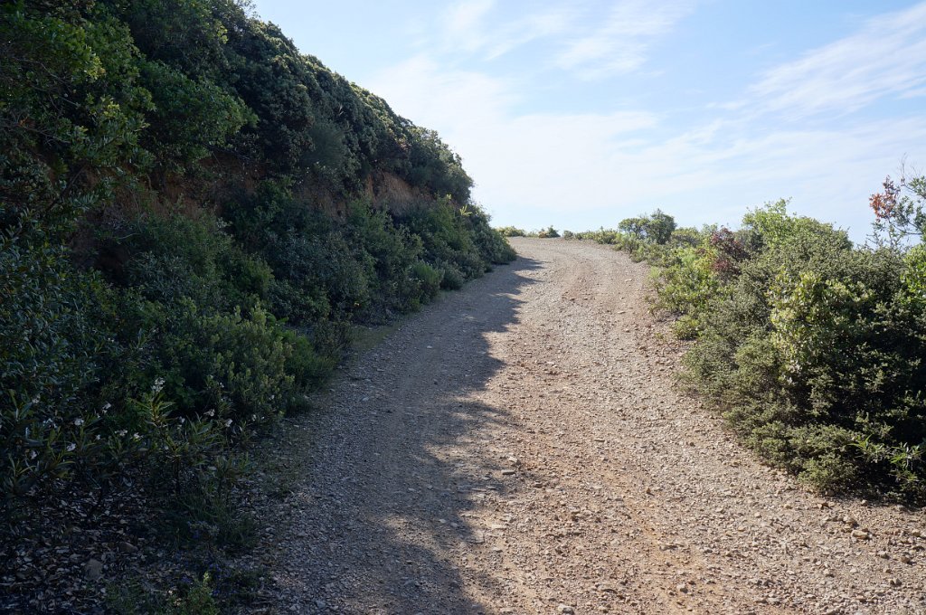 DSC08711