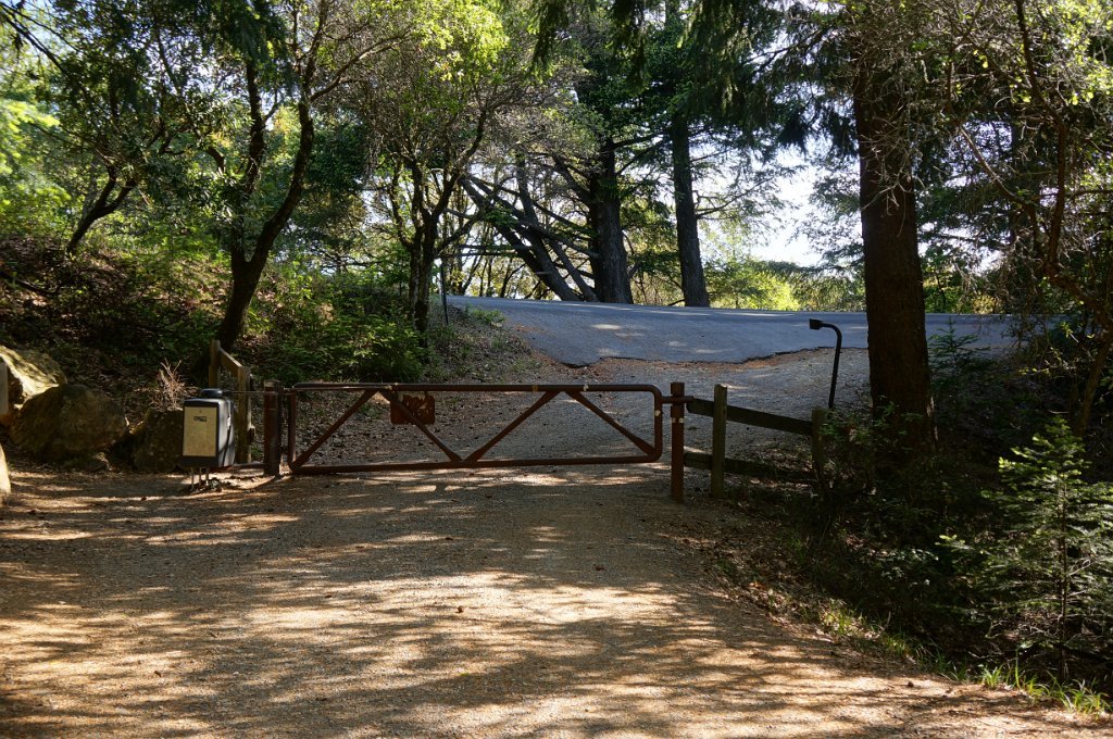 DSC08718