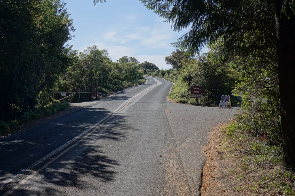 DSC08720