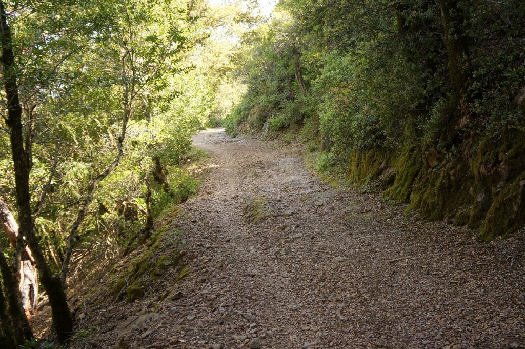 DSC08800