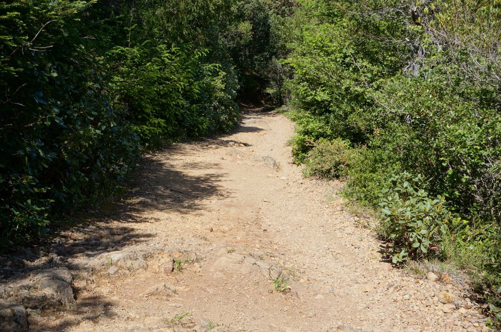 DSC08806