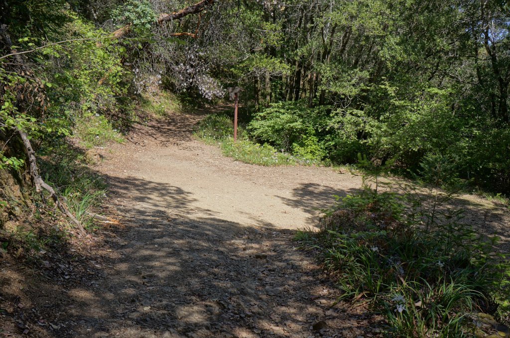 DSC08808