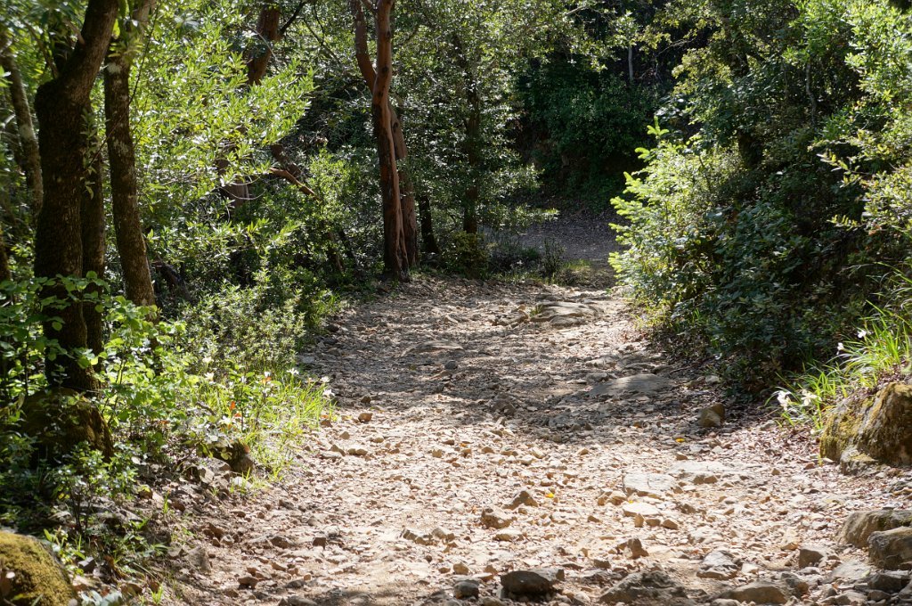 DSC08812