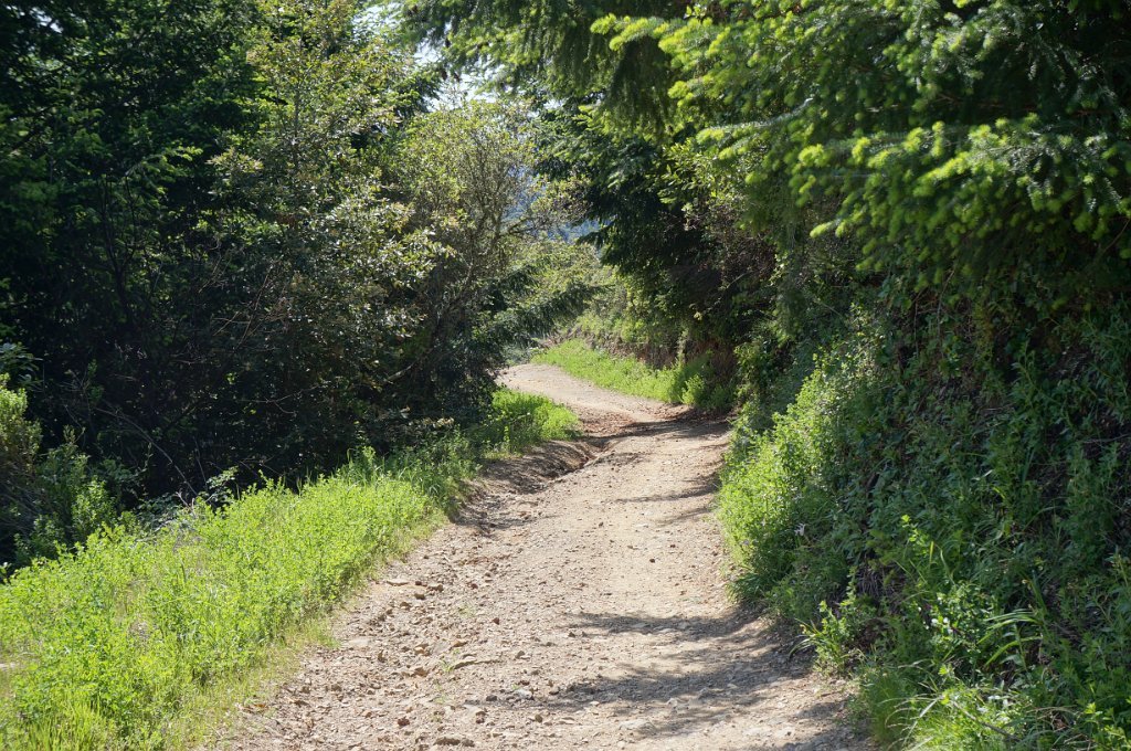 DSC08841