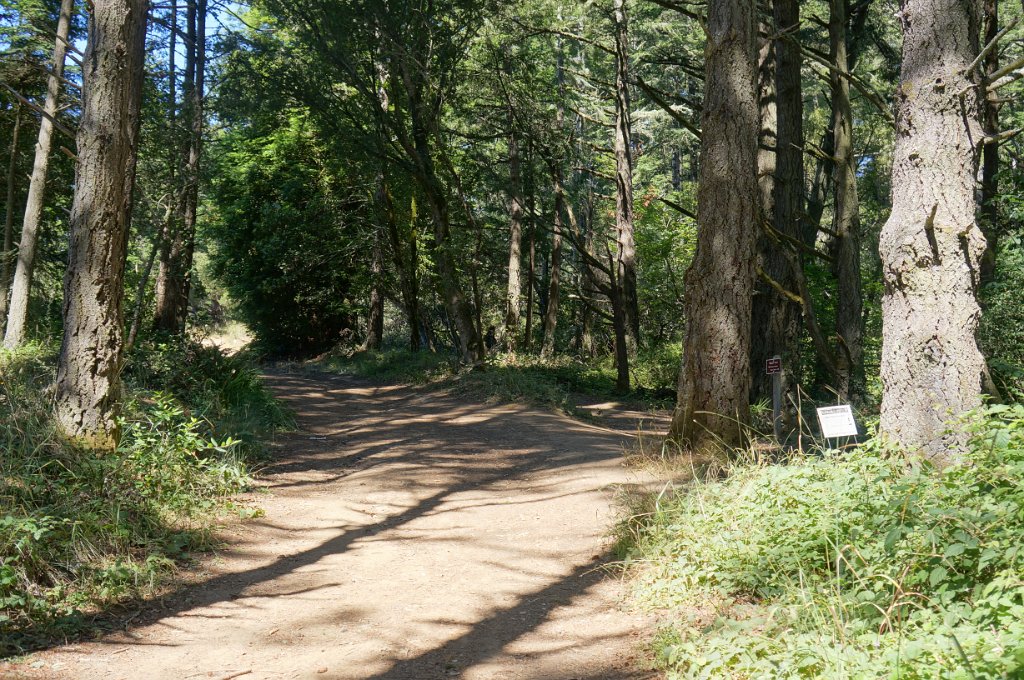 aDSC09518