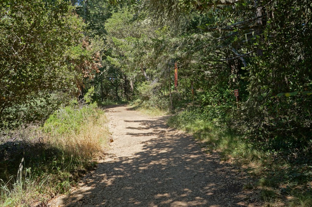 aDSC09524