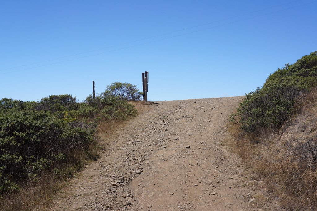 aDSC09545