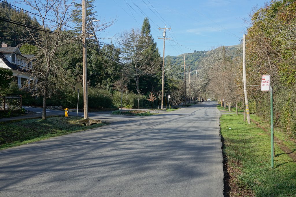 DSC05181