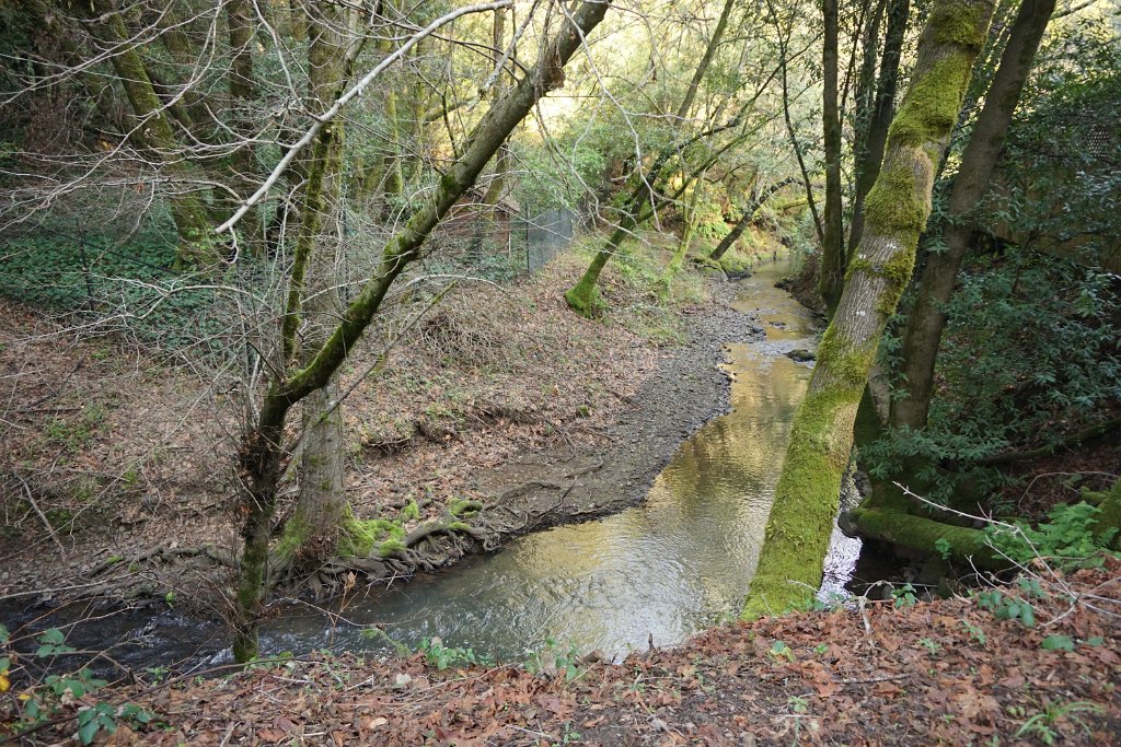 DSC05185