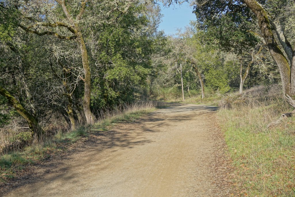 DSC05205
