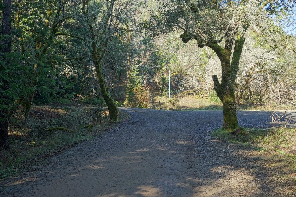 DSC05208
